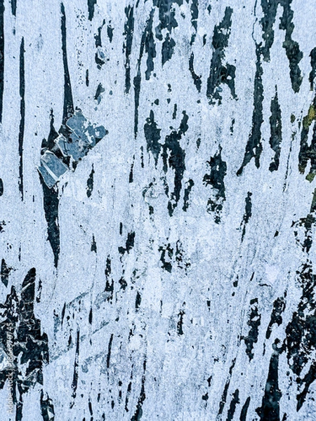 Obraz High Resolution on Cement and Concrete texture for pattern and background.