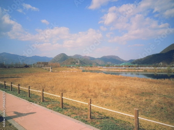 Obraz 시골길, 자연