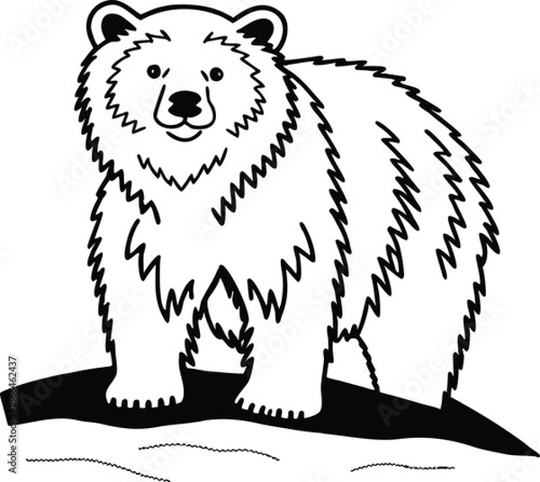 Fototapeta brown bear vector