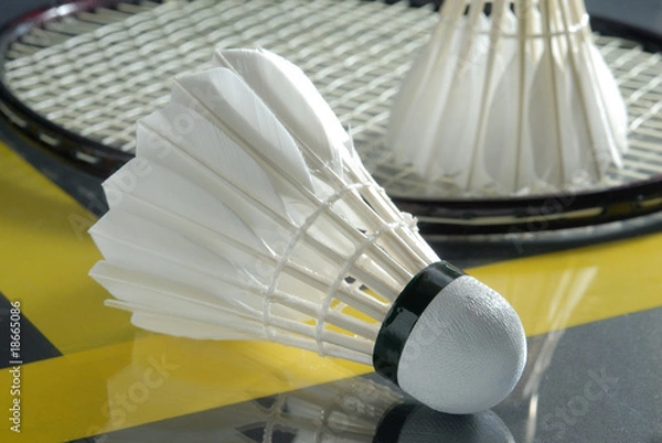 Obraz Badmintonbälle mit Schläger