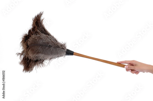 Fototapeta feather duster