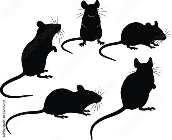 Fototapeta Five rats in a circle Vector
