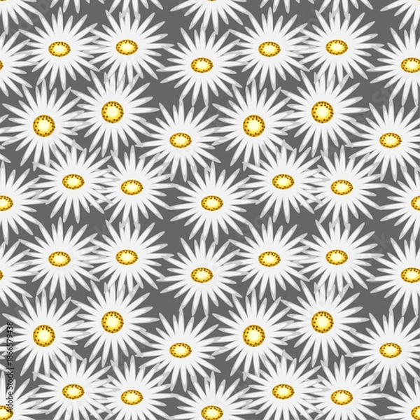 Fototapeta seamless pattern with camomiles