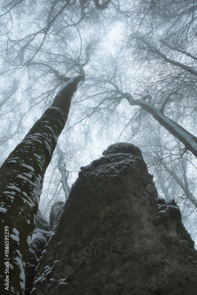 Fototapeta Rogue Rocks