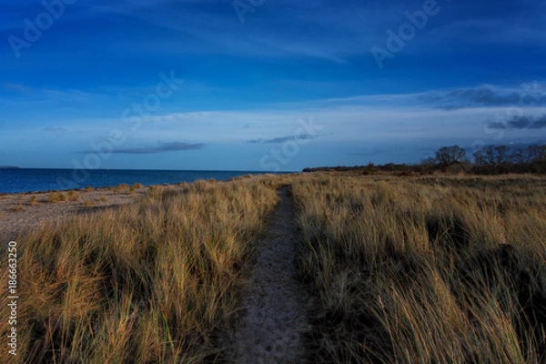 Obraz Ostseeküste - Eckernföderbucht - Norddeutschland