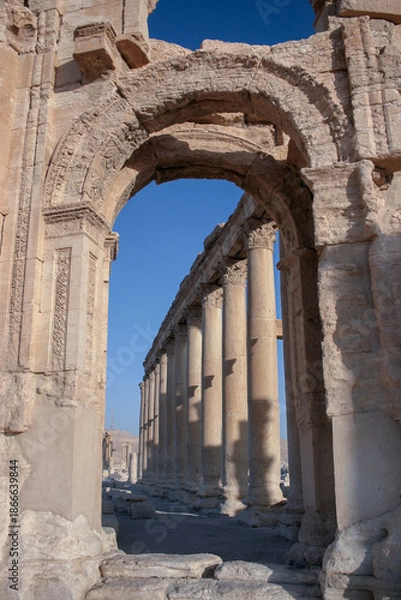 Obraz Roman Columns in Palmyra