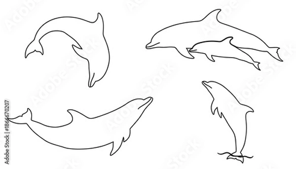 Fototapeta Dolphin Illustration Set