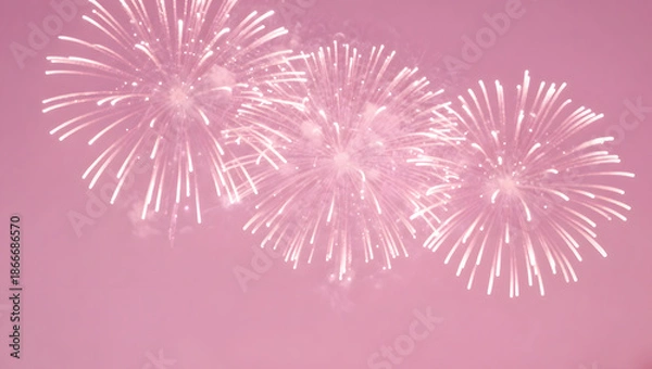 Obraz Fireworks Illuminating Night Sky