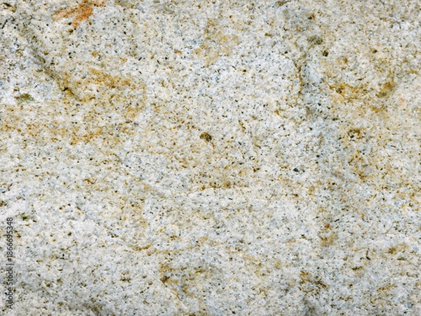 Obraz River Stone Texture in Natural Close Up