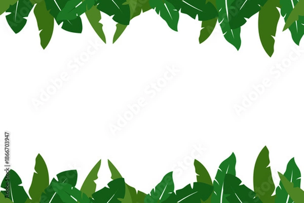 Fototapeta banana leaf background 
