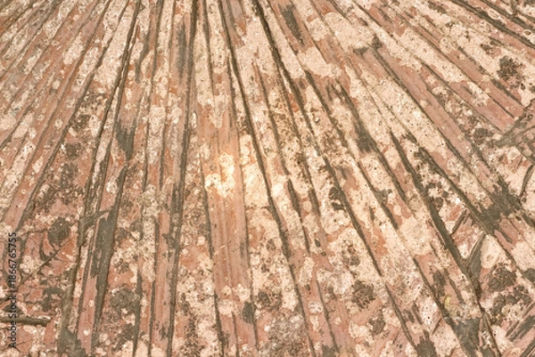 Obraz Old brown cement floor line background