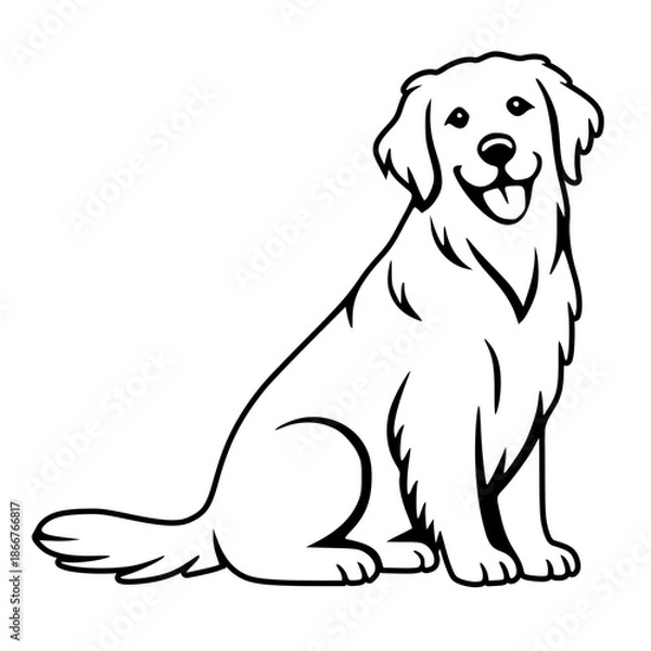 Obraz Golden Retriever Sitting