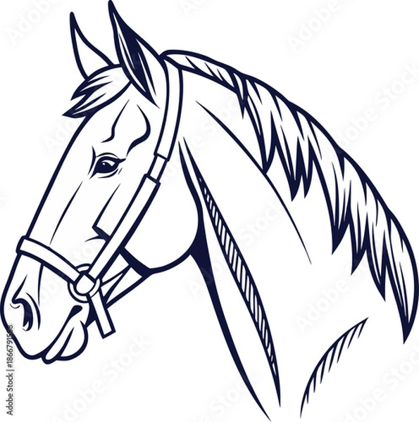 Obraz horse head vector
