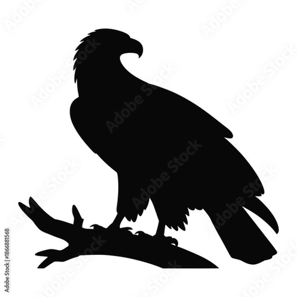Obraz Eagle perched on branch Vector, Silhouette, Illustration