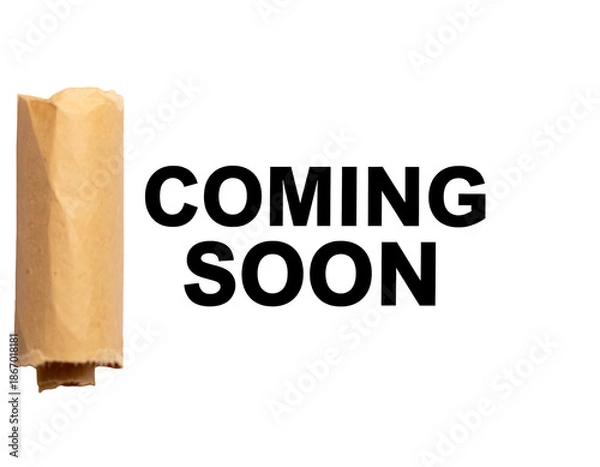 Obraz Rolled, tan paper scroll; torn edge; isolated background