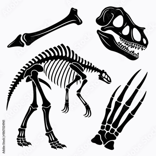 Obraz Dinosaur skeleton illustration