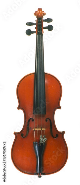 Obraz violin isolated on white background