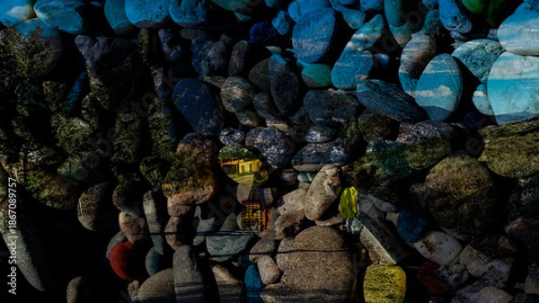 Obraz tropical fish in aquarium