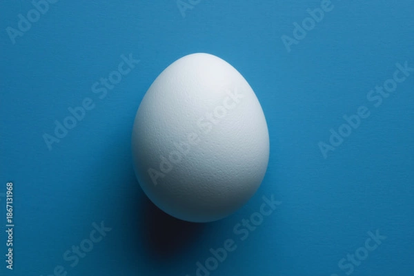 Obraz White egg on blue background with shadow