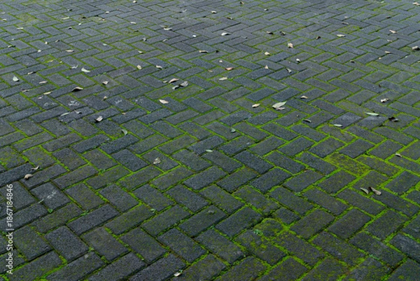 Obraz Mossy Geometric Paving Blocks - Environment Background Concept.