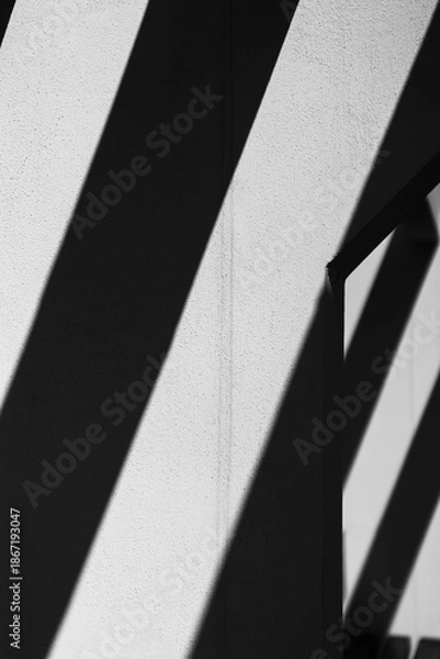 Obraz Black and white