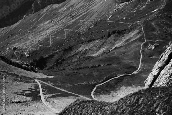 Obraz black and white