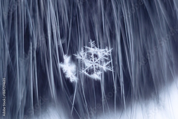 Obraz abstract macro snowflake on dark streak background