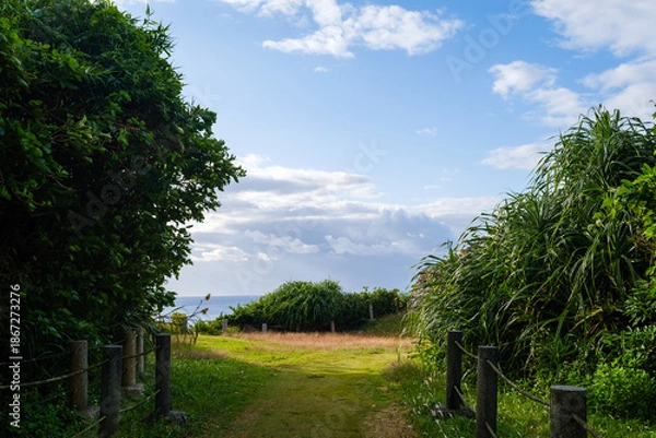 Obraz 沖縄で見つけた南国の豊かな自然と文化を感じる風景