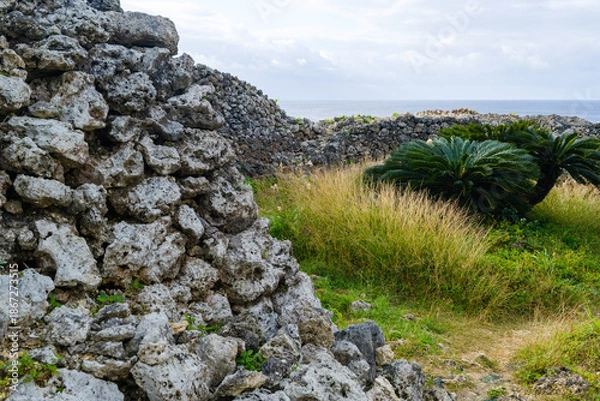 Obraz 沖縄で見つけた南国の豊かな自然と文化を感じる風景