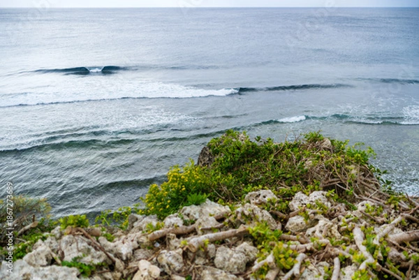 Obraz 沖縄で見つけた南国の豊かな自然と文化を感じる風景