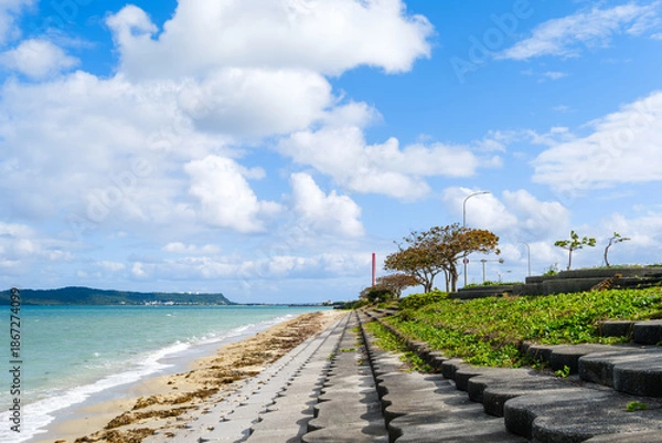 Obraz 沖縄で見つけた南国の豊かな自然と文化を感じる風景