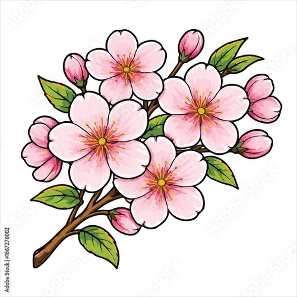 Obraz pink cherry blossom vector