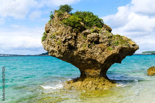 Obraz 沖縄で見つけた南国の豊かな自然と文化を感じる風景