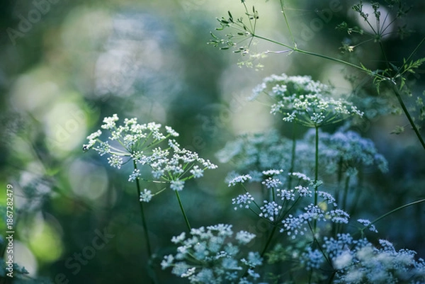 Obraz Summer green background