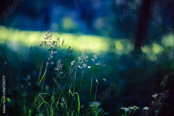 Obraz Summer green background