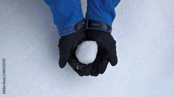 Obraz BOLA DE NIEVE