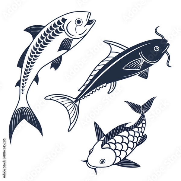 Obraz Three different fish illustrations