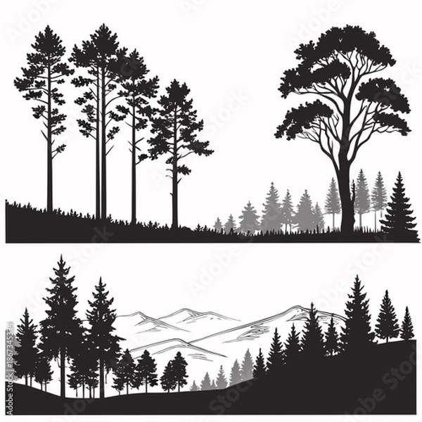 Obraz Forest silhouettes