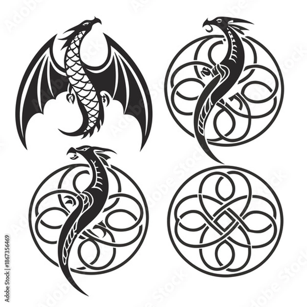 Obraz Dragon tattoo designs