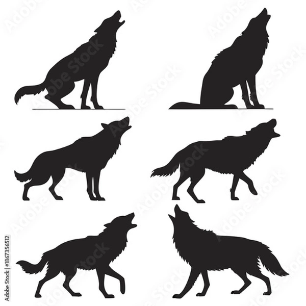 Obraz Wolf silhouettes