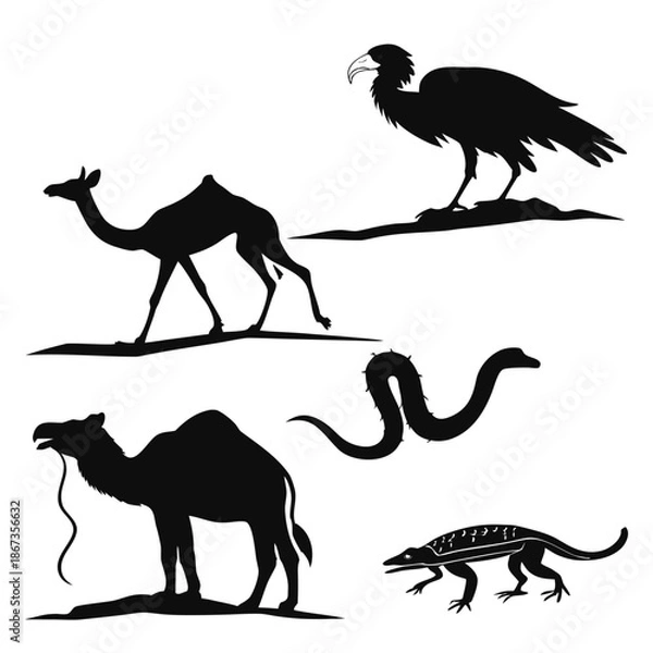 Obraz Desert animal silhouettes