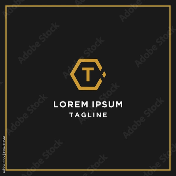 Obraz ct or tc hexagon logo