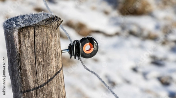 Fototapeta Ringisolator