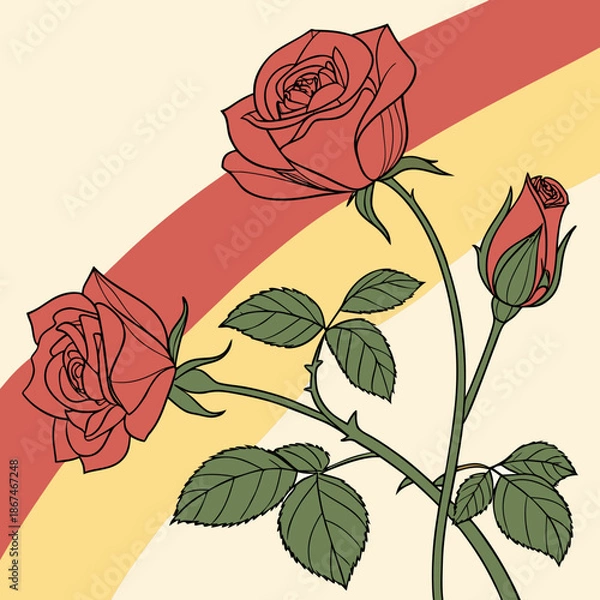 Obraz red rose on a white background