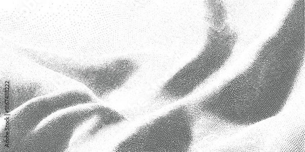 Obraz Abstract grayscale dotted texture with flowing wave patterns background dots