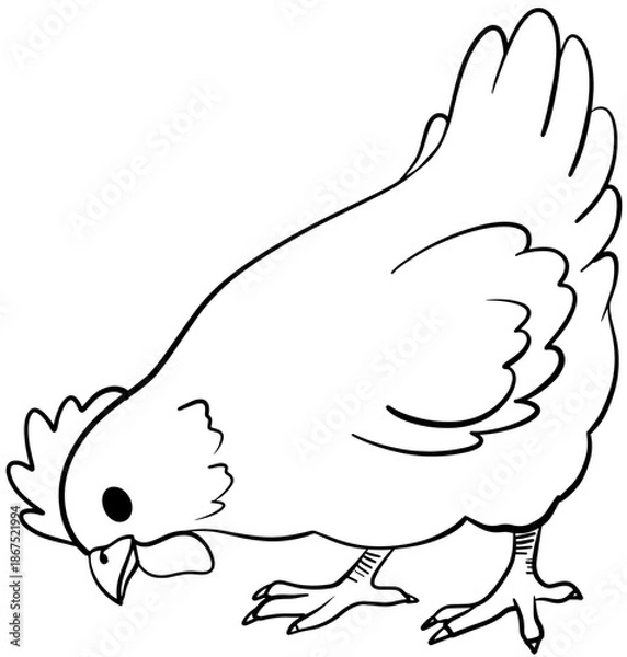 Obraz 먹이 먹는 닭 라인그림