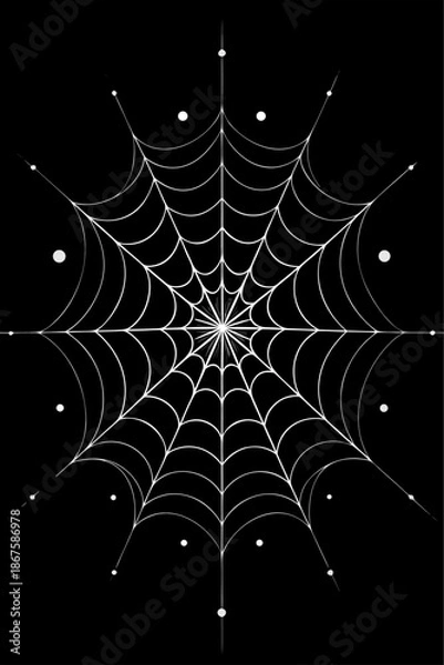 Obraz spider web with dew drops