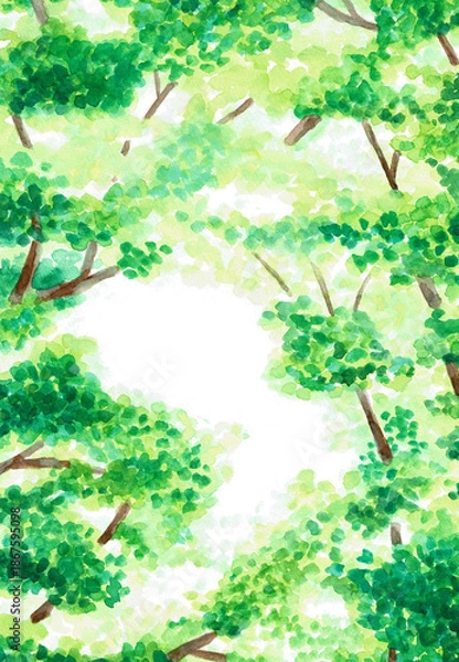 Obraz 手描きの水彩イラスト　木漏れ日　背景	
