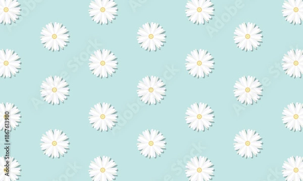 Obraz 花びらの並びにムラがある白いマーガレットに影が付いた水色の壁紙