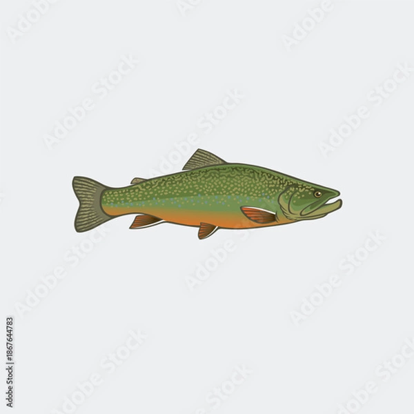 Obraz image brook trout logo 